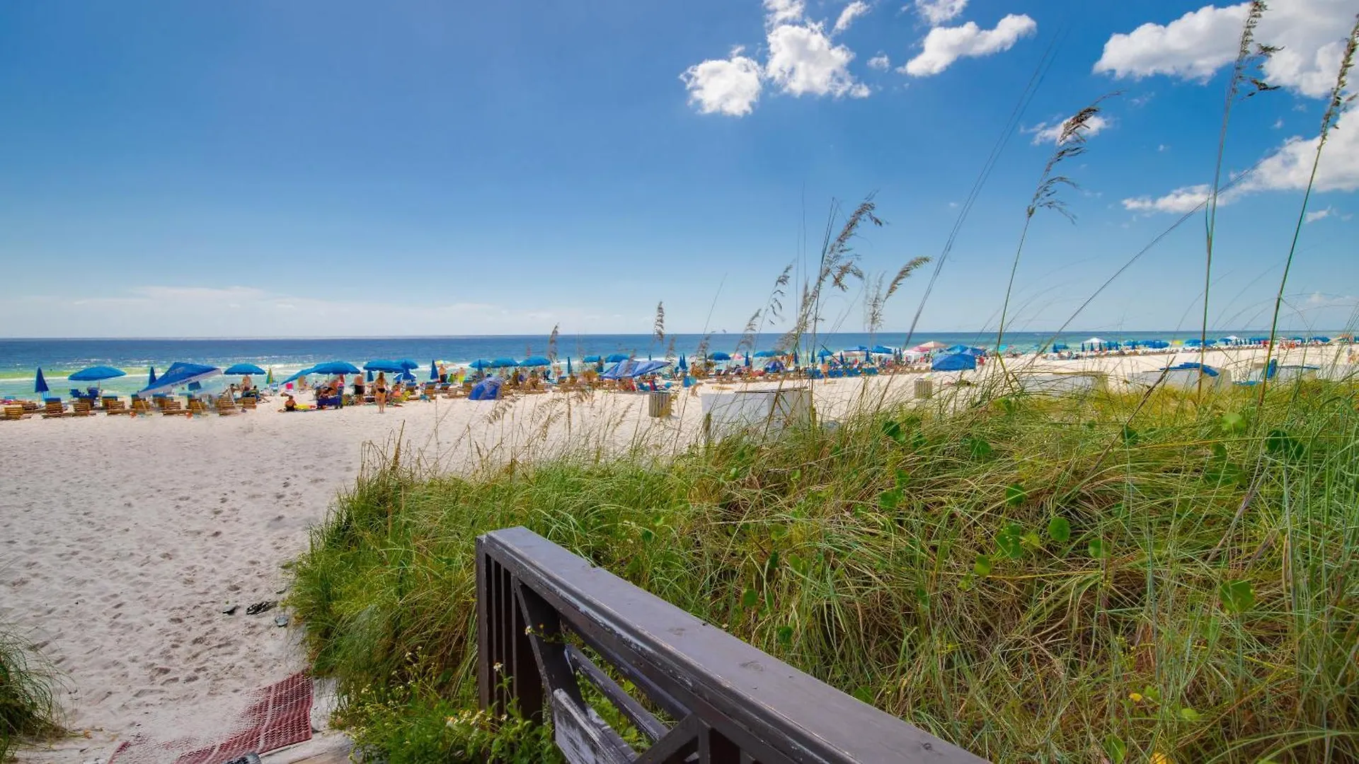 Shores Of Panama 1217 | Emerald Beach Retreat Panama City Beach Holiday home